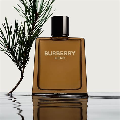 burberry herren parfum burberry|Burberry perfume her collection.